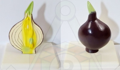 98184308 м луковица