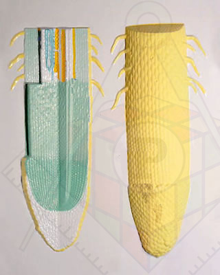 6cd1de18e35cce68a9437a007b4cebb2