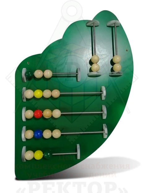 Модуль №5  «Счеты»_1