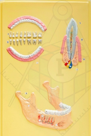 42ce63548578637736e6ddb5288071c1