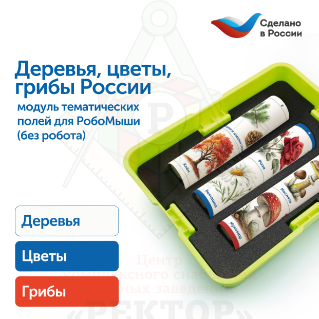 MS0102_1_Модуль__Деревья__цветы__грибы_России_1