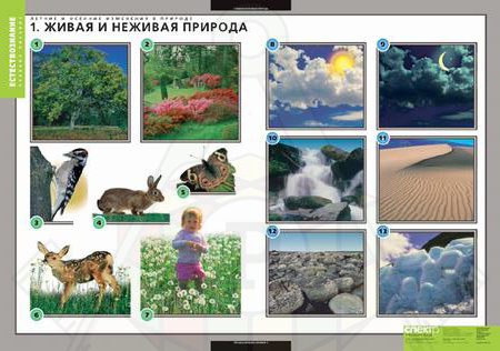 окр