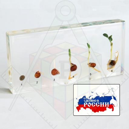 98285023_23 апреля 2024 г.