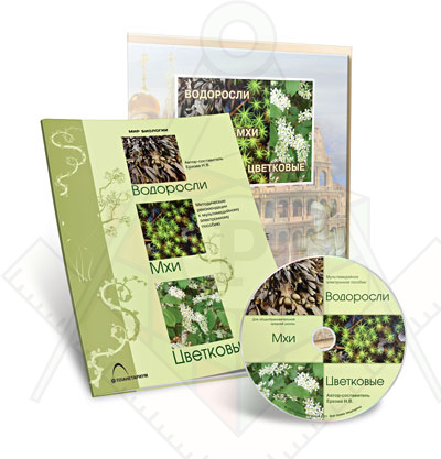 Картинка_2023-04-13_Электронное наглядное пособие«Водоросли. Мхи. Цветковые»