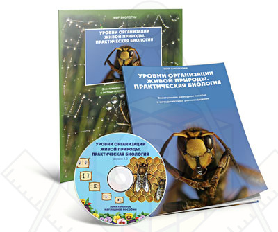 Картинка_2023-04-13_Электронное наглядное пособие«Уровни организации живой природы. Практическая биология»