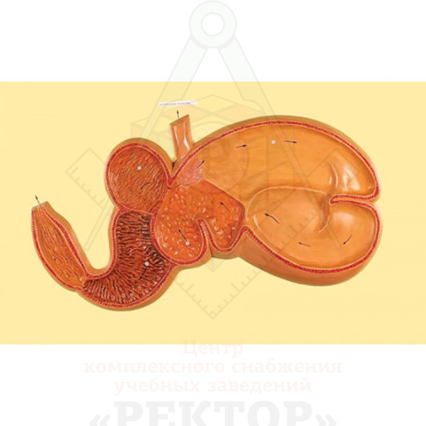 ge-catalog-modelibarelefnyeb-10575-700x700