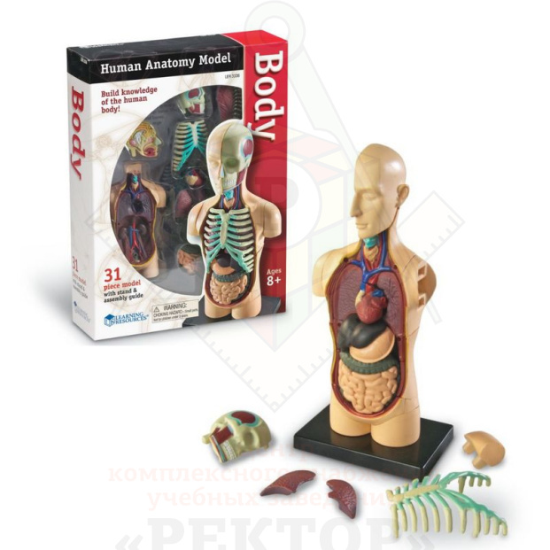 Дизайн_без_названия__84_