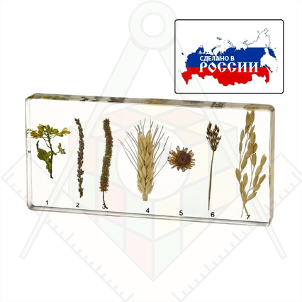 98285025_23 апреля 2024 г.