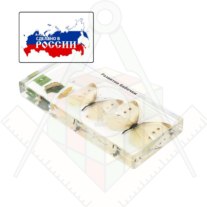 98285692_23 апреля 2024 г.