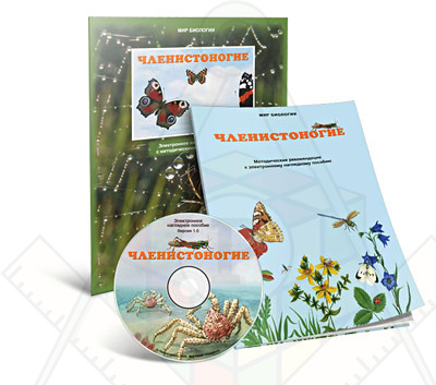 Картинка_2023-04-13_Электронное наглядное пособие«Членистоногие»