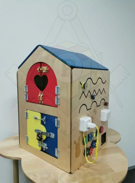 Бизидом «Будущий профессионал»_1