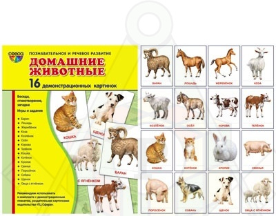 Картинка