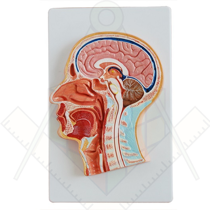 98285650_23 апреля 2024 г.