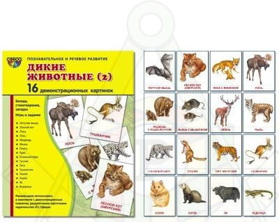 Картинка