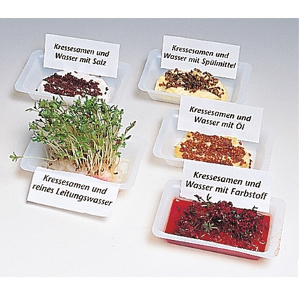 98285090_23 апреля 2024 г.