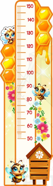 58113_Ростомер_для_группы_ПЧЁЛКИ