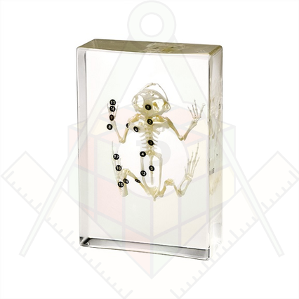 98285667_23 апреля 2024 г.