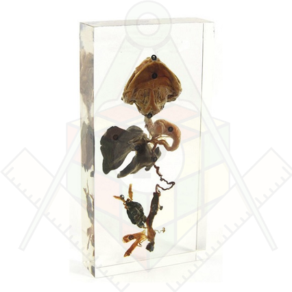 98285683_23 апреля 2024 г.