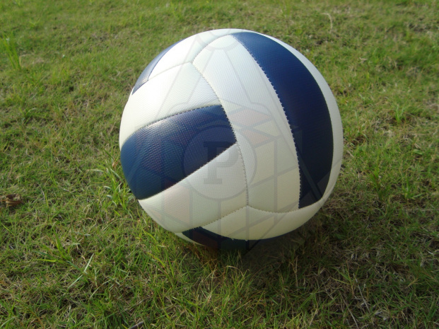 bell volleyball 2