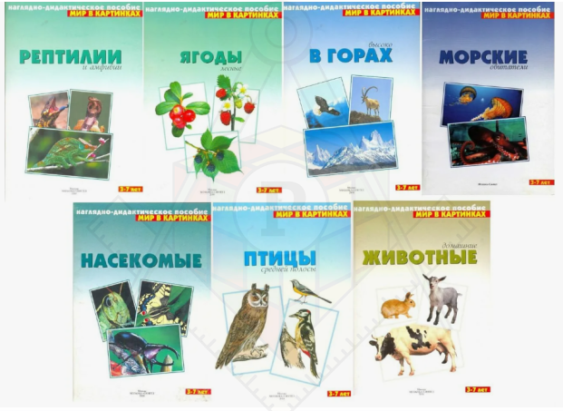 альбомы темат