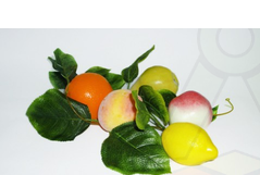 e2owguq1ppss08w0c84gcs40c4k40s