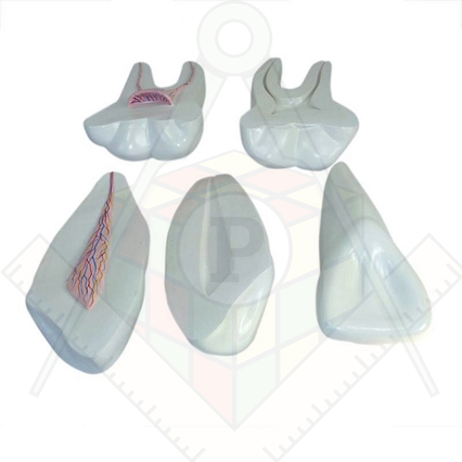 98285689_23 апреля 2024 г.