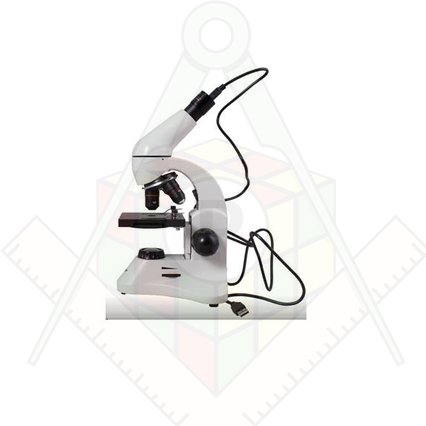 98285697_23 апреля 2024 г.