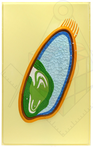 07fb8ad90dcb9b55ec77f7fbe6b0bc3a