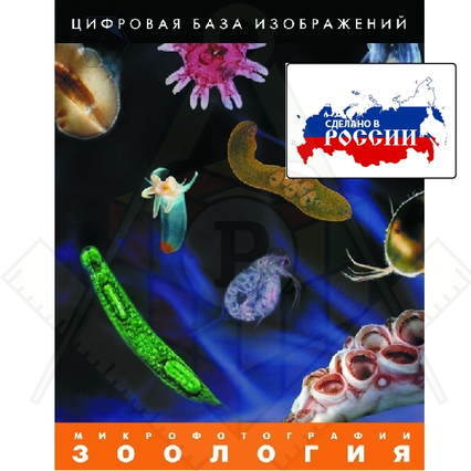 98285711_23 апреля 2024 г.