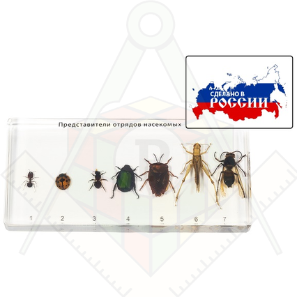 98285693_23 апреля 2024 г.