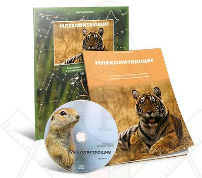 Картинка_2023-04-13_Электронное наглядное пособие «Млекопитающие»