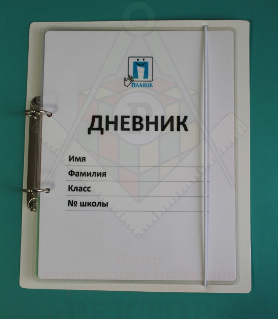Дневник__1____планик