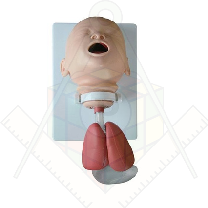 98285802_23 апреля 2024 г.