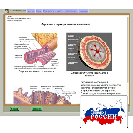 98285698_23 апреля 2024 г.