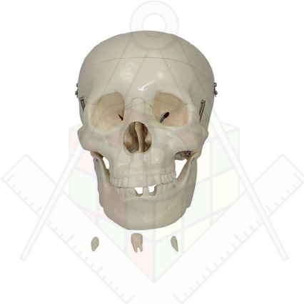 98285662_23 апреля 2024 г.