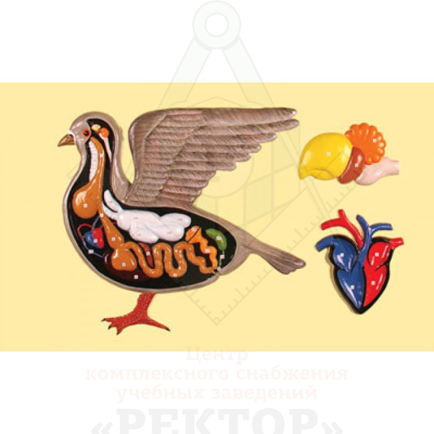 ge-catalog-modelibarelefnyeb-10573-700x700