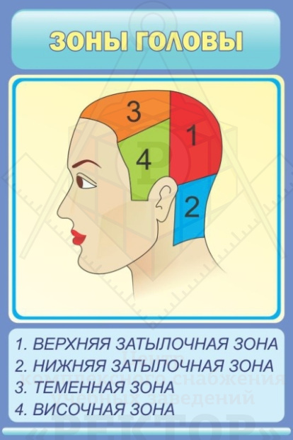 Картинка Картинка