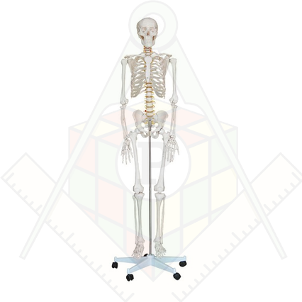 98285653_23 апреля 2024 г.