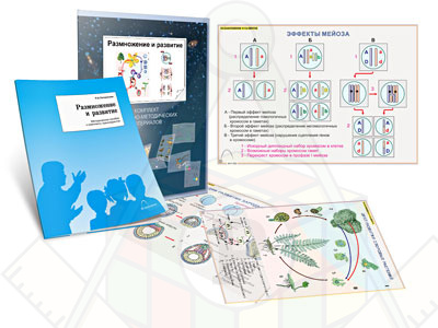 развитие