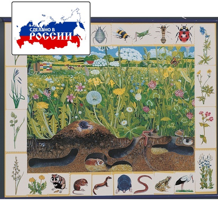 98285059_23 апреля 2024 г.