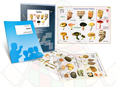 Картинка_2023-04-13_Комплект кодотранспарантов (прозрачных плёнок, фолий)«Грибы»