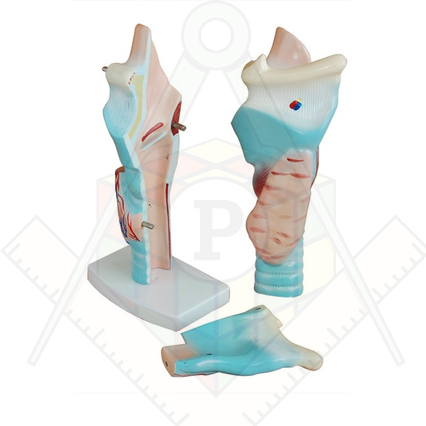 98285659_23 апреля 2024 г.