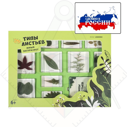 98285027_23 апреля 2024 г.