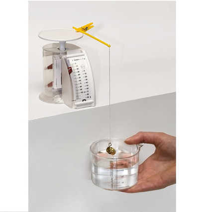 98285079_23 апреля 2024 г.