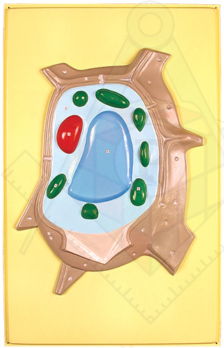 fef95ffe02e99a9b84ad4ff8c5851591