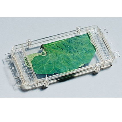 98285090_23 апреля 2024 г.