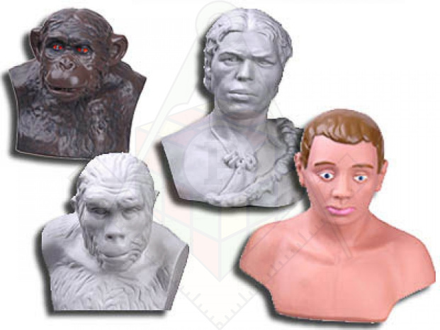 Набор моделей палеонтологических находок