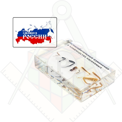 98285694_23 апреля 2024 г.