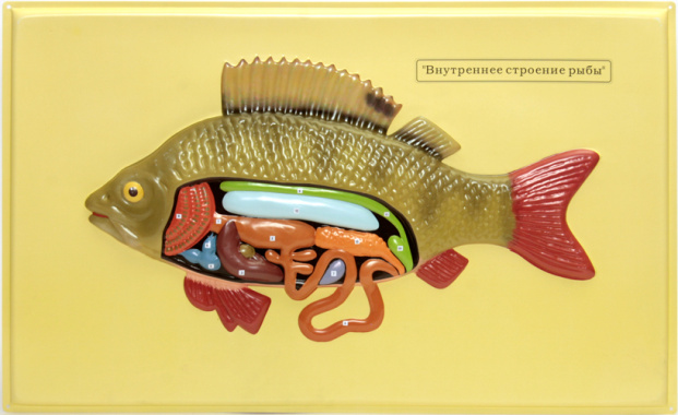 1064ec9348359a6cd4309a7f75ebaa76