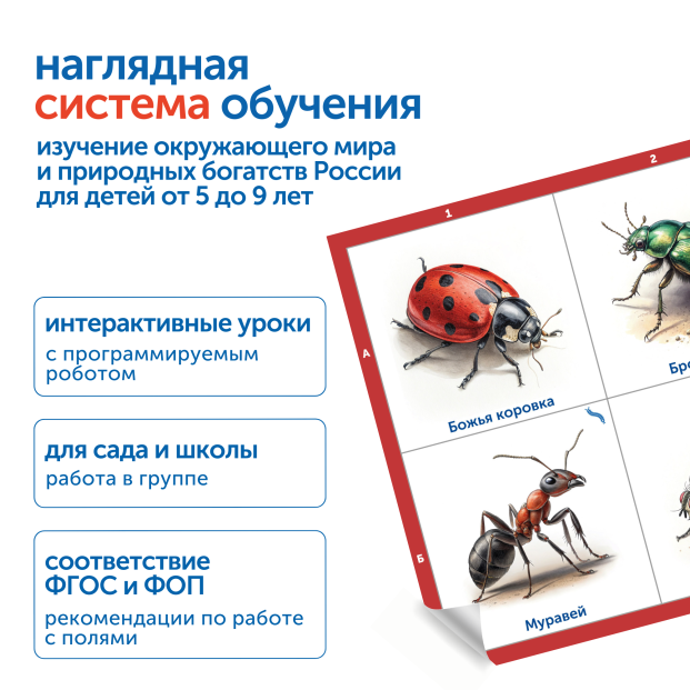 MS0102_4_Модуль__Птицы__рыбы__насекомые_России_2